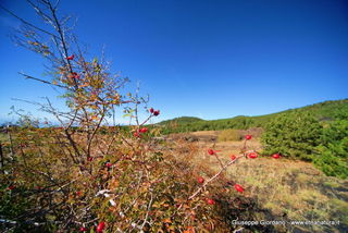 Monte_Nero_degli_Zappini - 08-11-2012 12-22-33.JPG